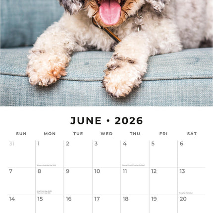 Red Robin Cockapoos Kalender 2026