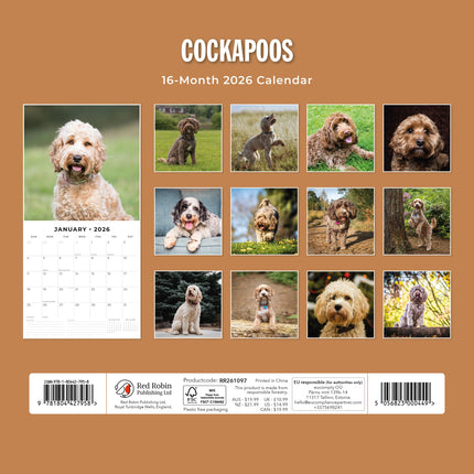 Red Robin Cockapoos Kalender 2026