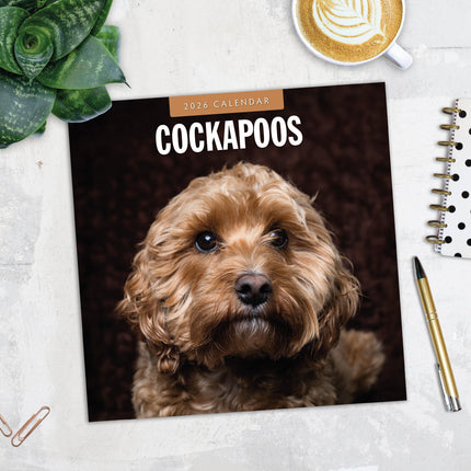 Red Robin Cockapoos Kalender 2026