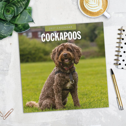 Red Robin Cockapoos Kalender 2027