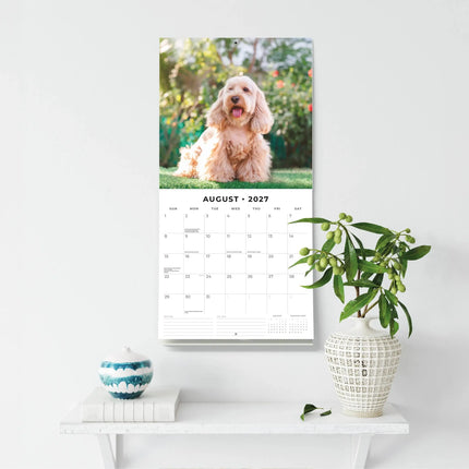 Red Robin Cockapoos Kalender 2027
