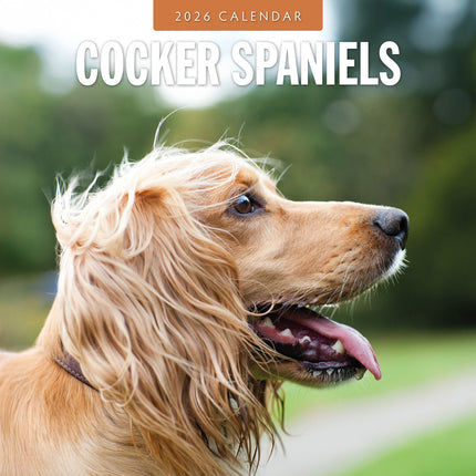 Red Robin Cocker Spaniels Kalender 2026