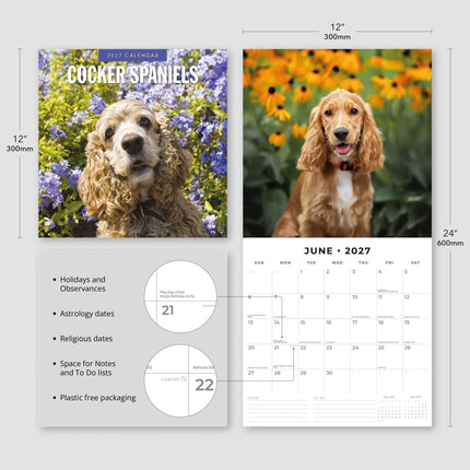 Red Robin Cocker Spaniels Kalender 2027