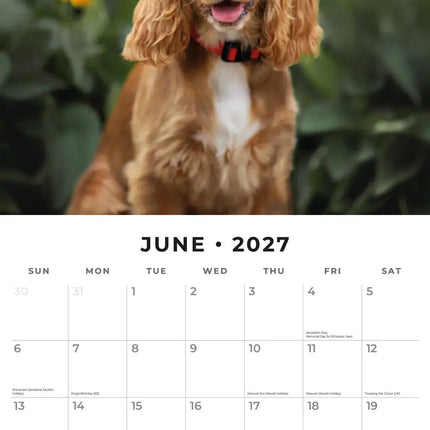 Red Robin Cocker Spaniels Kalender 2027