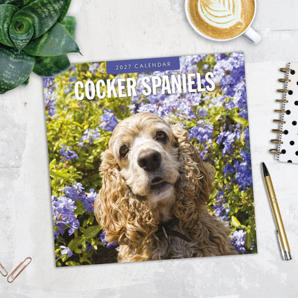 Red Robin Cocker Spaniels Kalender 2027