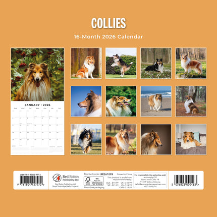 Red Robin Collie - Schotse Herder Kalender 2026