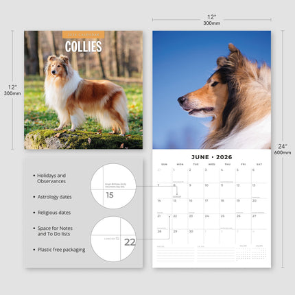 Red Robin Collie - Schotse Herder Kalender 2026