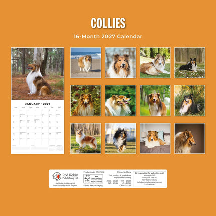 Red Robin Collie - Schotse Herder Kalender 2027
