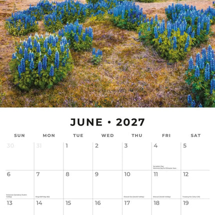 Red Robin Country Scenes Kalender 2027