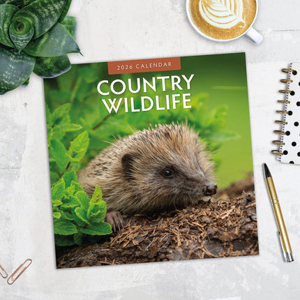 Red Robin Country Wildlife Kalender 2026