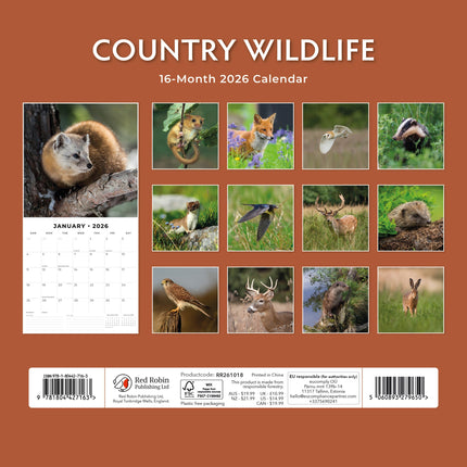 Red Robin Country Wildlife Kalender 2026