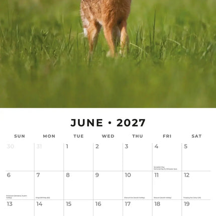 Red Robin Country Wildlife Kalender 2027