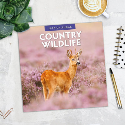Red Robin Country Wildlife Kalender 2027
