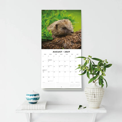 Red Robin Country Wildlife Kalender 2027