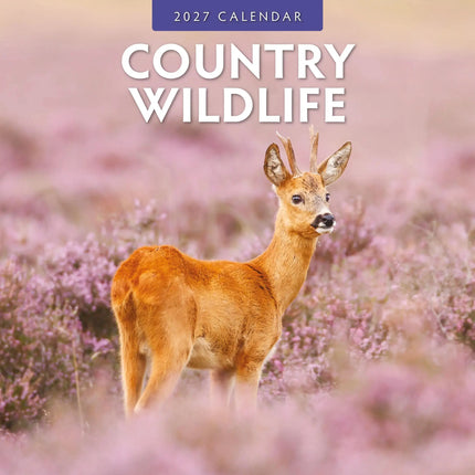 Red Robin Country Wildlife Kalender 2027