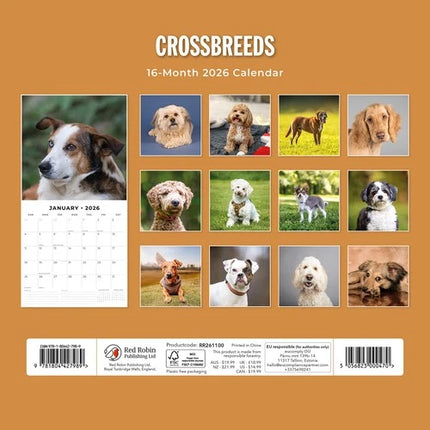 Red Robin Crossbreeds Kalender 2026