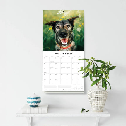 Red Robin Crossbreeds Kalender 2027
