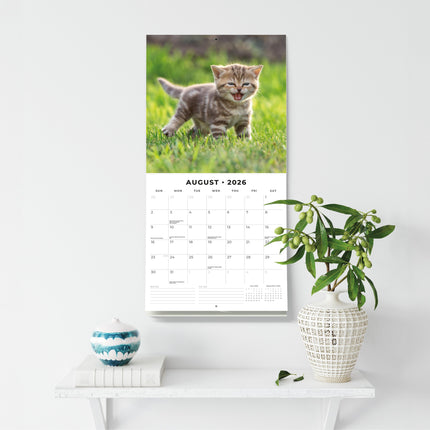 Red Robin Cute Kittens Kalender 2026