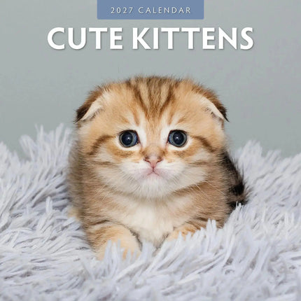 Red Robin Cute Kittens Kalender 2027