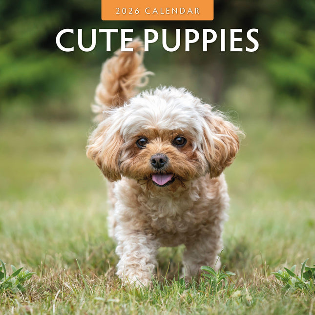 Red Robin Cute Puppies Kalender 2026