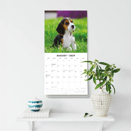 Red Robin Cute Puppies Kalender 2027