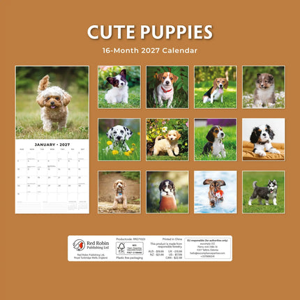 Red Robin Cute Puppies Kalender 2027