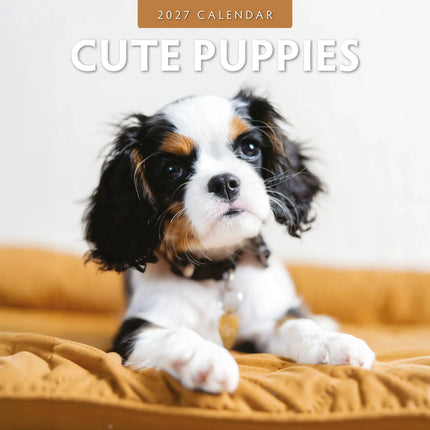 Red Robin Cute Puppies Kalender 2027