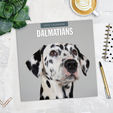 Red Robin Dalmatier Kalender 2026