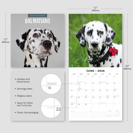 Red Robin Dalmatier Kalender 2026
