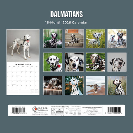 Red Robin Dalmatier Kalender 2026