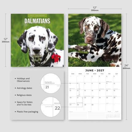 Red Robin Dalmatier Kalender 2027