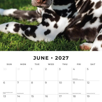 Red Robin Dalmatier Kalender 2027