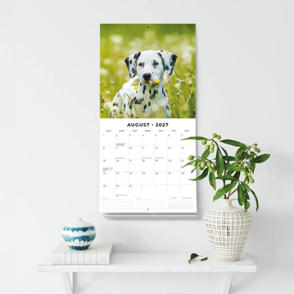 Red Robin Dalmatier Puppies Kalender 2027