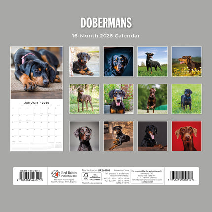 Red Robin Dobermann Kalender 2026