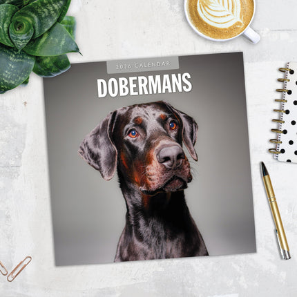 Red Robin Dobermann Kalender 2026