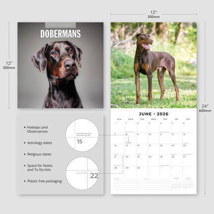 Red Robin Dobermann Kalender 2026