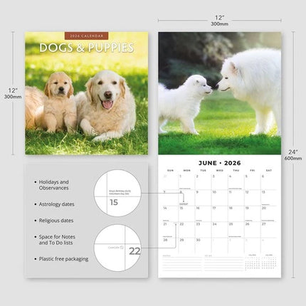 Red Robin Dogs and Puppies Kalender 2026