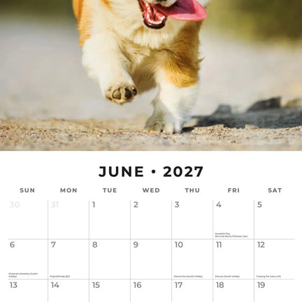 Red Robin Dogs and Puppies Kalender 2027
