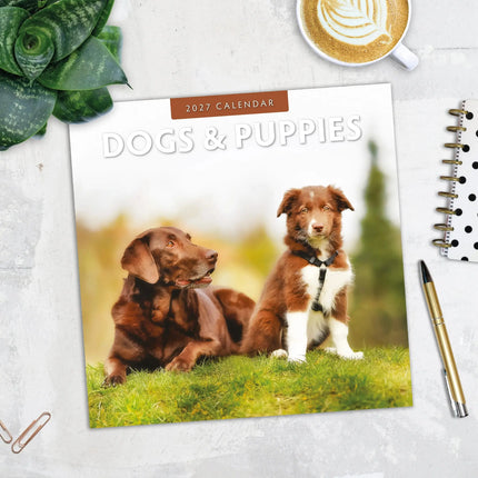 Red Robin Dogs and Puppies Kalender 2027