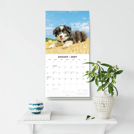 Red Robin Dogs and Puppies Kalender 2027
