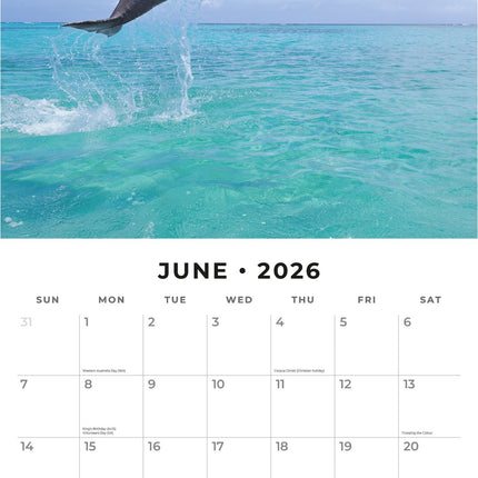 Red Robin Dolfijnen Kalender 2026