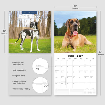 Red Robin Duitse Dog Kalender 2027