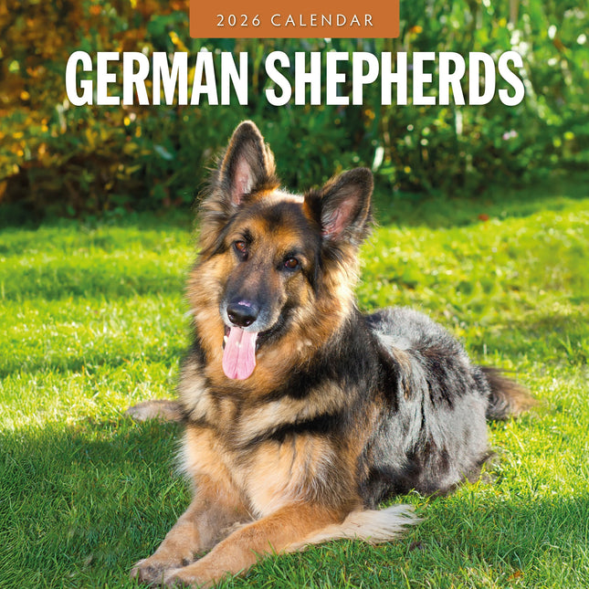 Red Robin Duitse Herder Kalender 2026