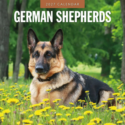Red Robin Duitse Herder Kalender 2027