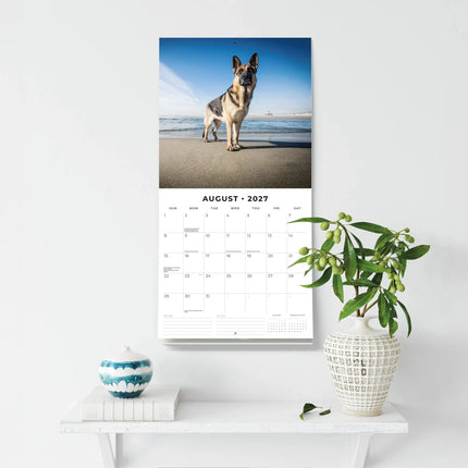 Red Robin Duitse Herder Kalender 2027