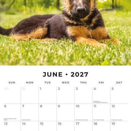 Red Robin Duitse Herder Puppies Kalender 2027