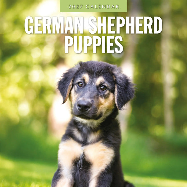 Red Robin Duitse Herder Puppies Kalender 2027