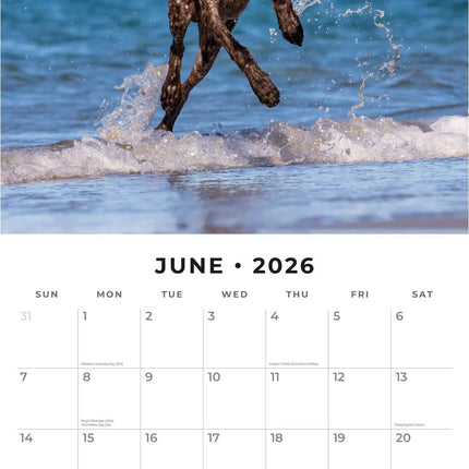 Buying Bali Calendar 2026? Easily and quickly ordered online Buying Bali Calendar 2026? Easily and quickly ordered online