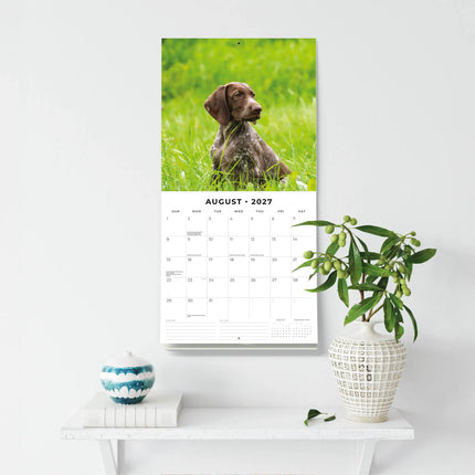 Red Robin Duitse Staande Kalender 2027