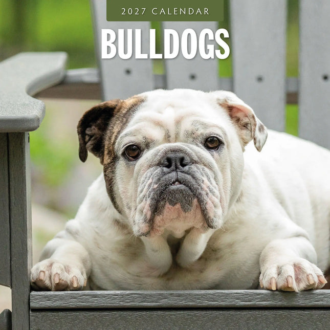 Red Robin Engelse Bulldog Kalender 2027